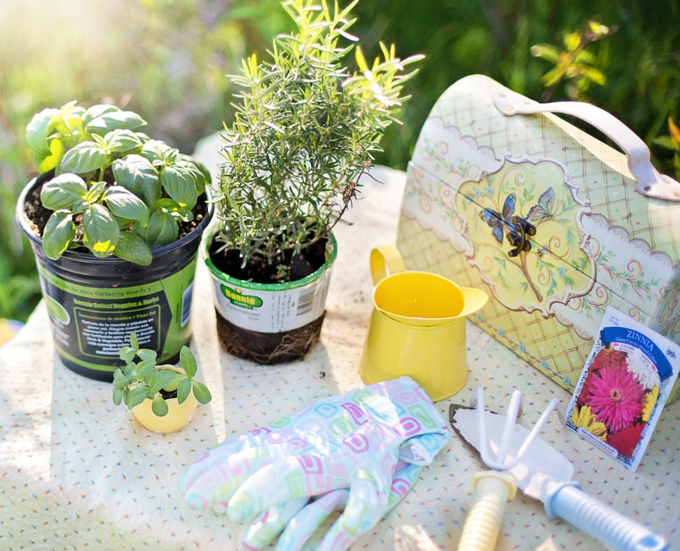 Garden and Gardening